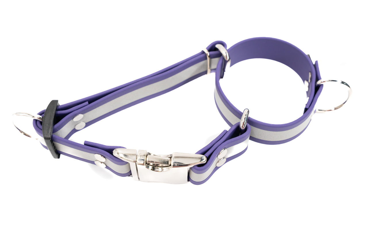 Biothane - REFLECTIVE Quick Release Martingale | 4 colors | 2 widths