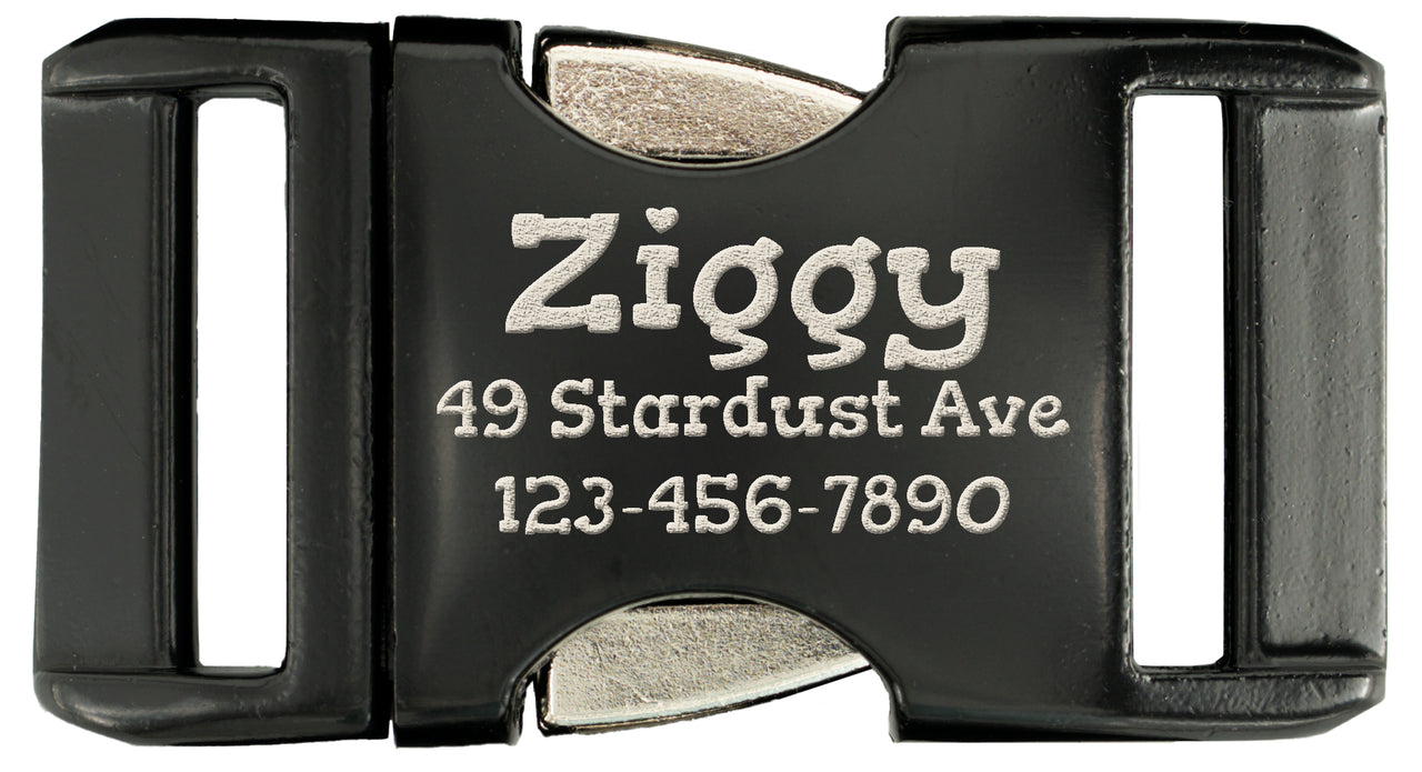 Black belt buckle with 'Ziggy' and address engraved on a white background