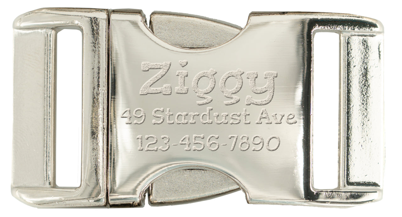 Metallic buckle with engraved text on a white background