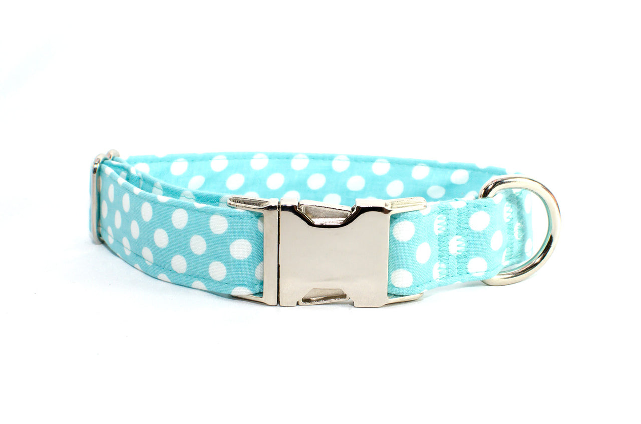 LAST ONES - Aqua with White Polka Dots Adjustable Dog Collar - S, M, XL