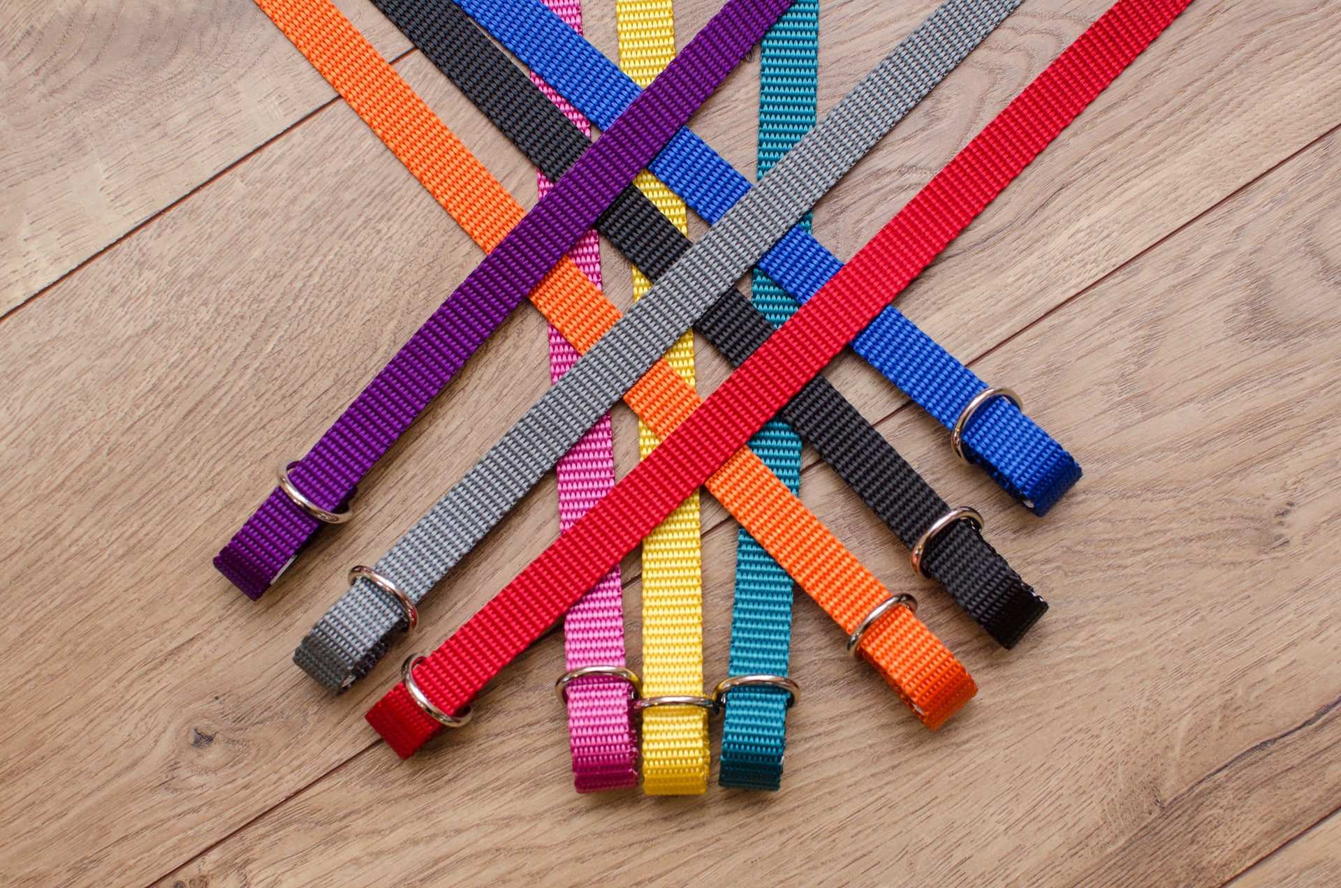 Slip Lead, Kennel Leash, Collar/Leash Combo - Fox Valley Dog Collars