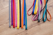 Slip Lead, Kennel Leash, Collar/Leash Combo - Fox Valley Dog Collars