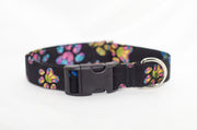Painted Paw Prints Adjustable Dog Collar - Fox Valley Pet Wear