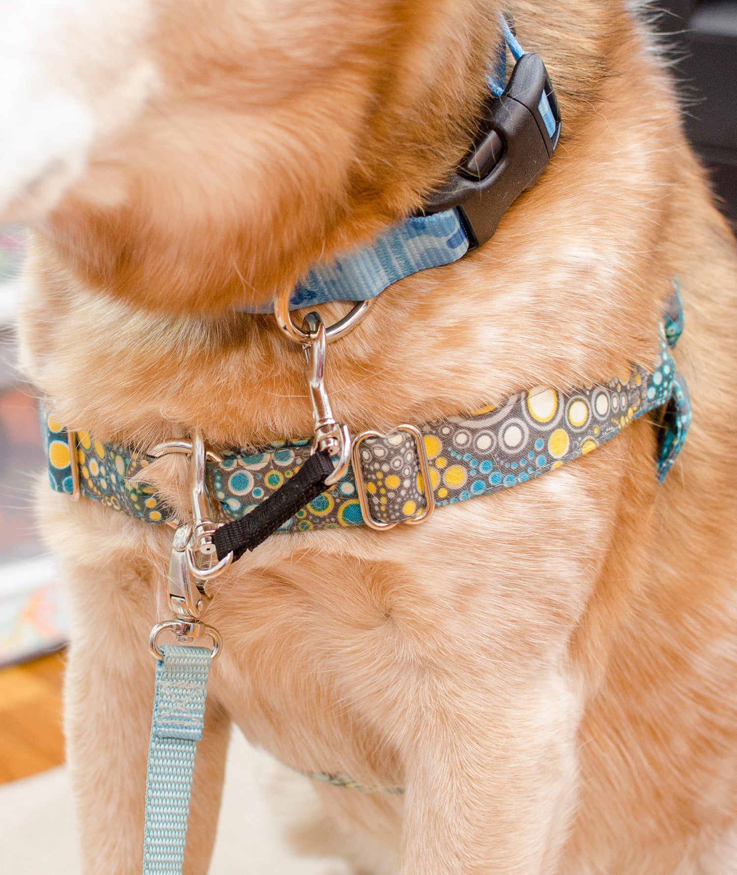 Harness to Collar Safety Clip - Fox Valley Dog Collars