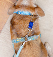Harness to Collar Safety Clip - Fox Valley Dog Collars
