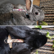 Choose-A-Fabric 5/8" or 3/4" Cat or Rabbit Harness, H-style - Fox Valley Dog Collars