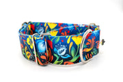 Patterned Webbing Martingale Dog Collar - 20 prints, made in the USA! - Fox Valley Pet Wear