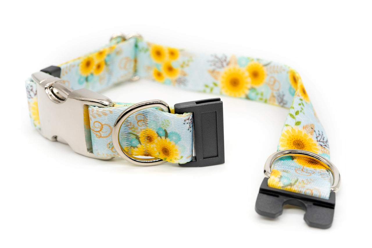 BREAKAWAY Personalized "Sunny Days" Patterned Collar