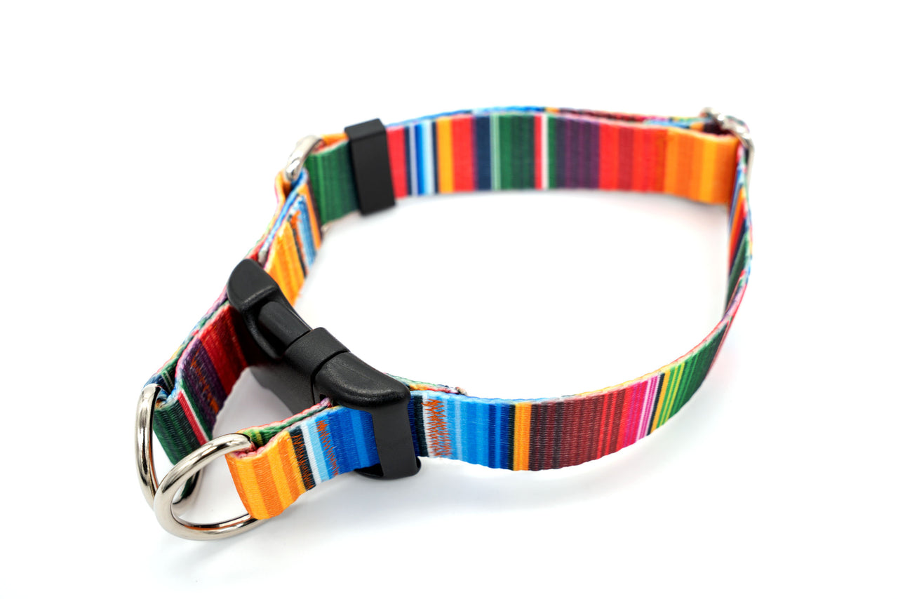 PRINTS - Double D-Ring Flat Buckle Collar | 20 Prints | 3 widths