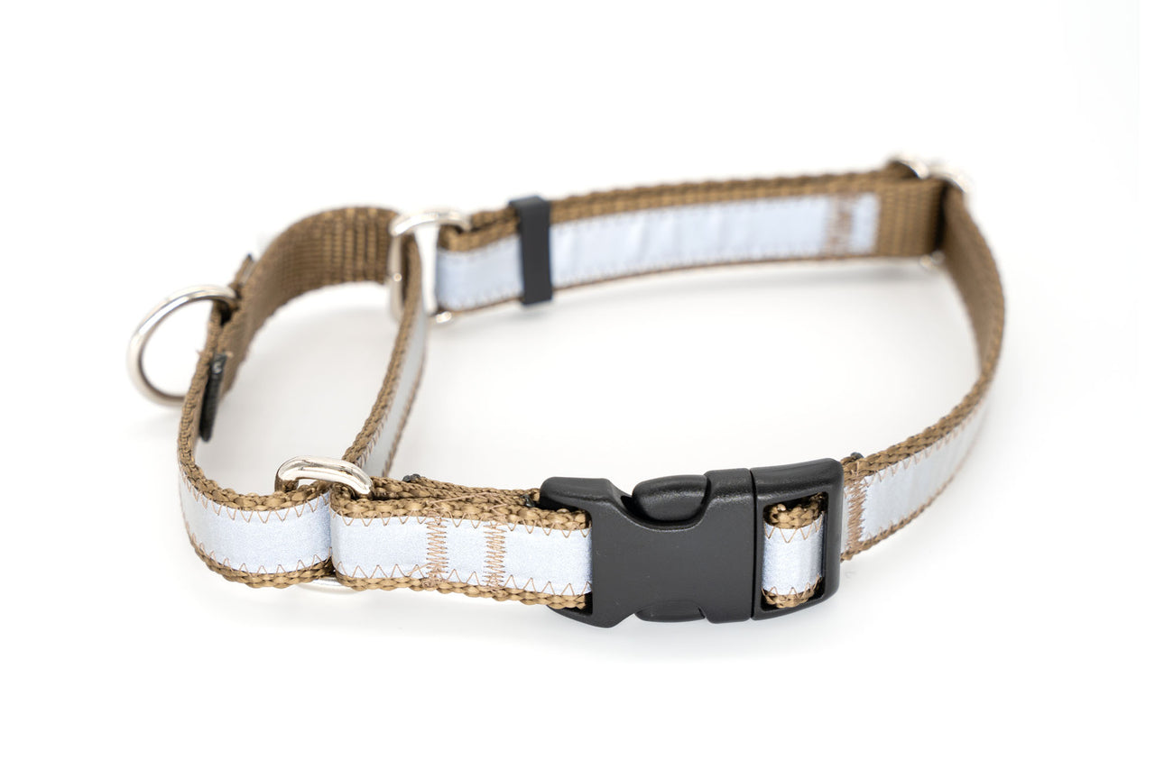Reflective Quick Release Martingale - Mocha, 3/4" wide, 16-20"