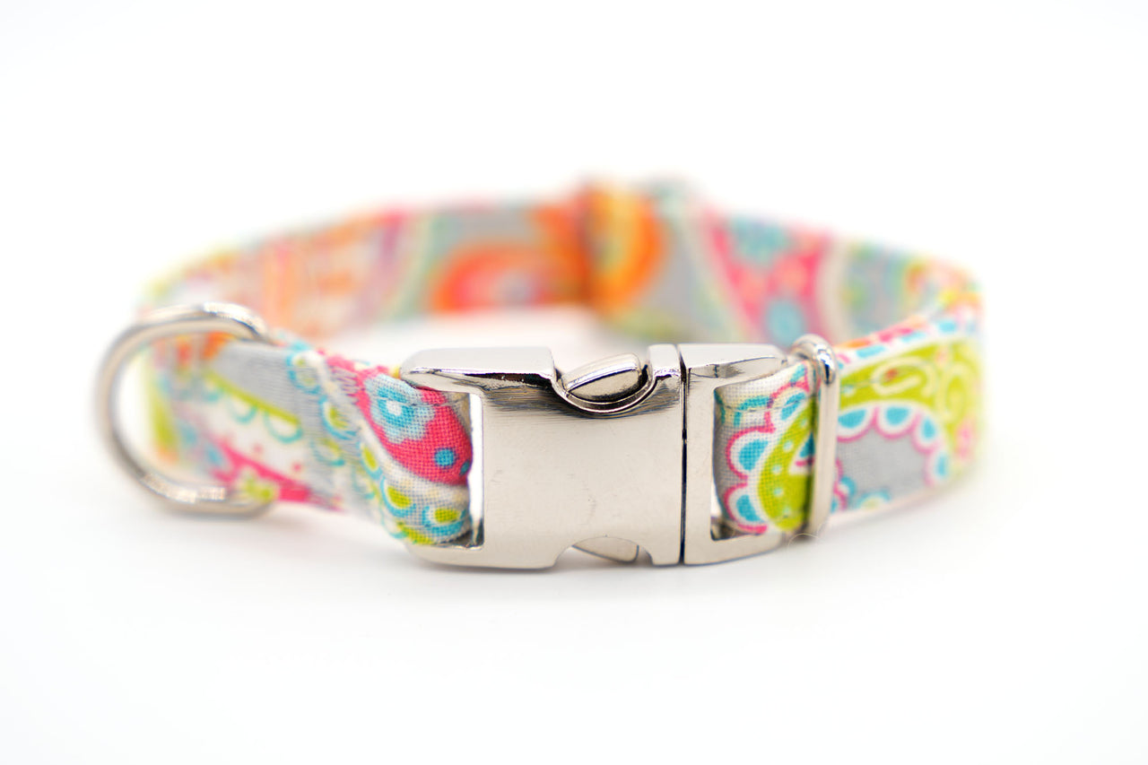 Rainbow Paisley adjustable dog collar, medium or small