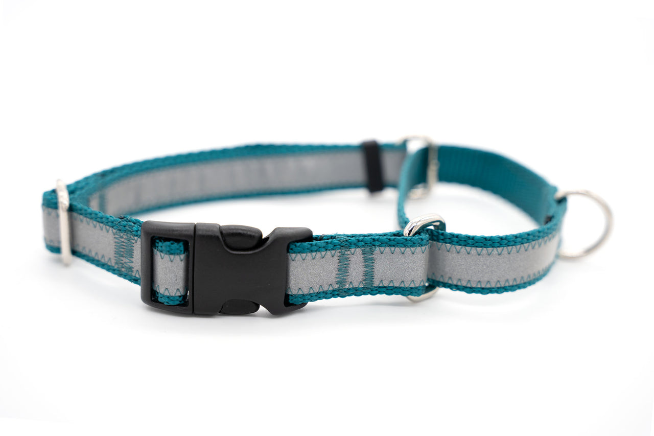 Reflective Quick Release Martingale - Teal, 3/4" wide, 16-20"