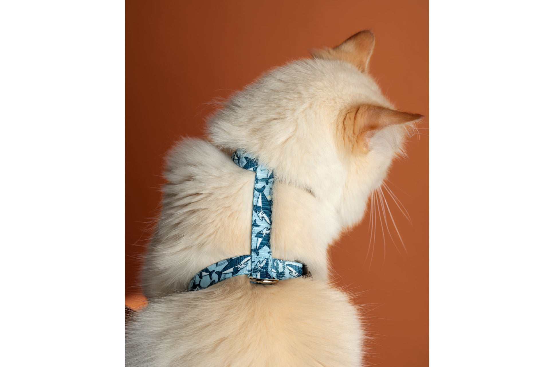 Choose-A-Print 5/8" wide Cat or Rabbit Harness, H-style - Fox Valley Pet Wear