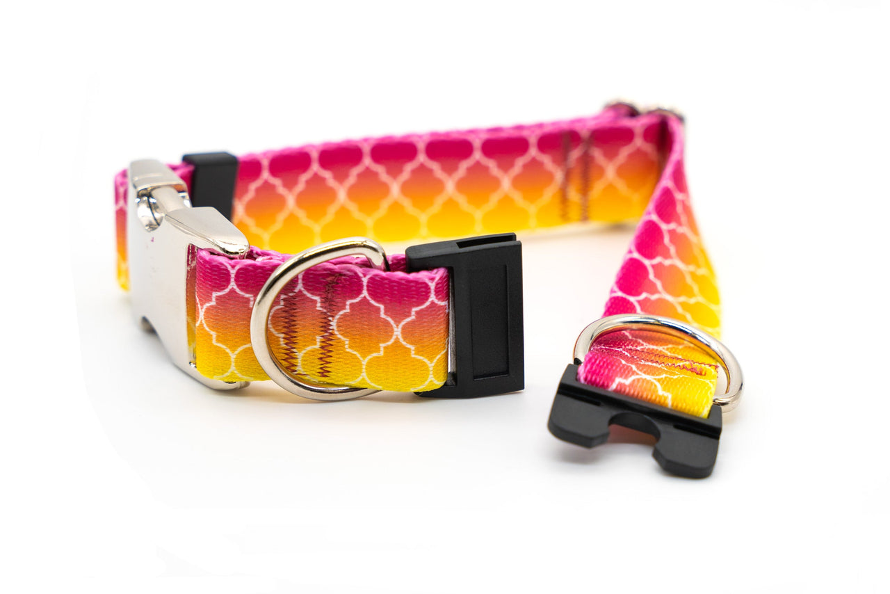 BREAKAWAY Personalized "Fruity Ombre" Dog Collar