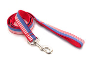 Preppy Striped 1" Leashes - Fox Valley Dog Collars