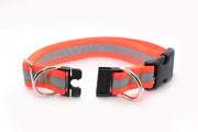 Reflective BREAKAWAY Dog Collar - Fox Valley Dog Collars