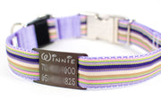 SECONDS QUALITY / Blemished - Jingle-Free Silent ID Tags - Fox Valley Pet Wear