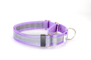 Martingale Dog Collar | Solid or Reflective | 4 widths! - Fox Valley Pet Wear