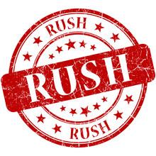 Rush / Expedited Processing - Fox Valley Dog Collars