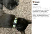 Reflective 5/8" Extra Wide Breakaway Cat Collar - Fox Valley Pet Wear