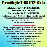 Stainless Steel Jingle-Free Pet ID Tag - by Boomerang - Fox Valley Dog Collars