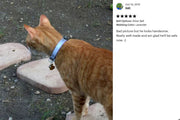 Reflective 5/8" Extra Wide Breakaway Cat Collar - Fox Valley Pet Wear