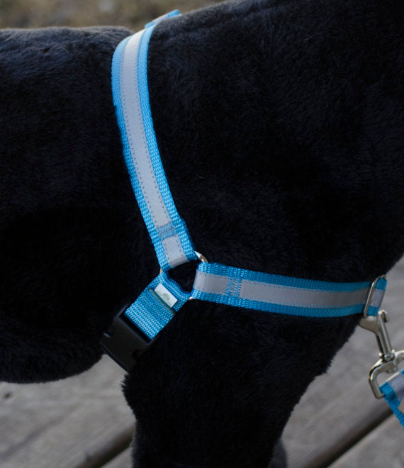 Reflective No-Pull Dog Harness - Fox Valley Pet Wear