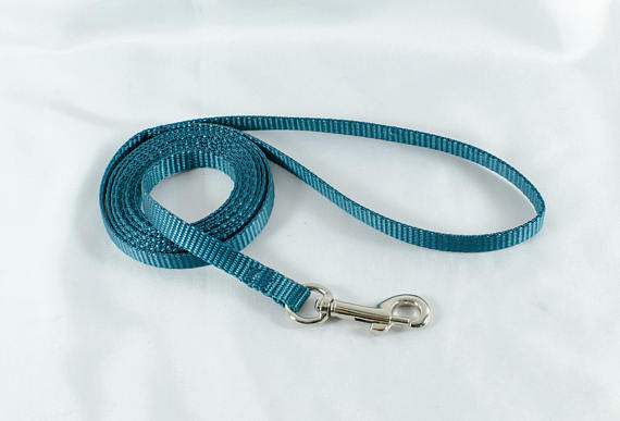 Cat & Small Pet Leash - 3/8" - Fox Valley Dog Collars