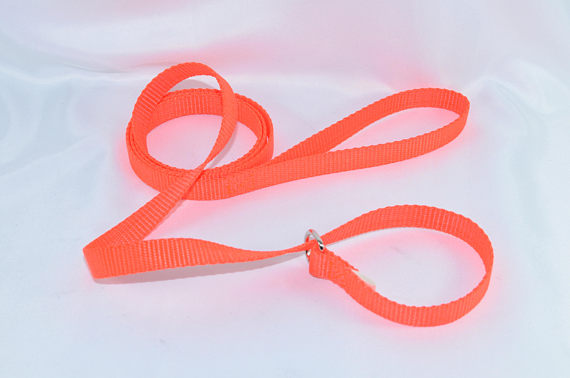 Slip Lead, Kennel Leash, Collar/Leash Combo - Fox Valley Dog Collars