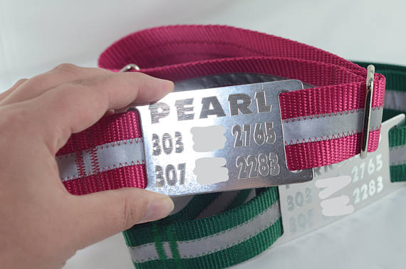 Jingle-Free XXL 1.5" Silent ID Tag - Fox Valley Pet Wear