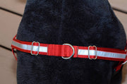 Reflective Dual-Attach No-Pull Harness™ - Fox Valley Pet Wear