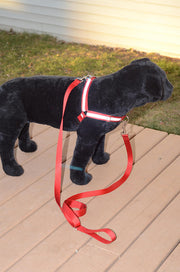 Dual Attach Leash With Sliding Handle - Fox Valley Dog Collars