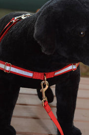 Reflective Dual-Attach No-Pull Harness™ - Fox Valley Pet Wear