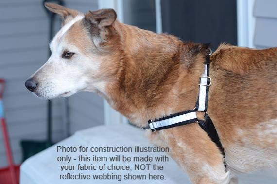 Choose-A-Fabric Dual-Attach No-Pull Harness™ - Fox Valley Dog Collars