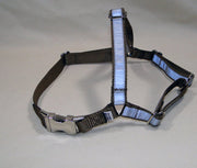 UPGRADE - Metal Buckles for Cat Harnesses - Fox Valley Dog Collars