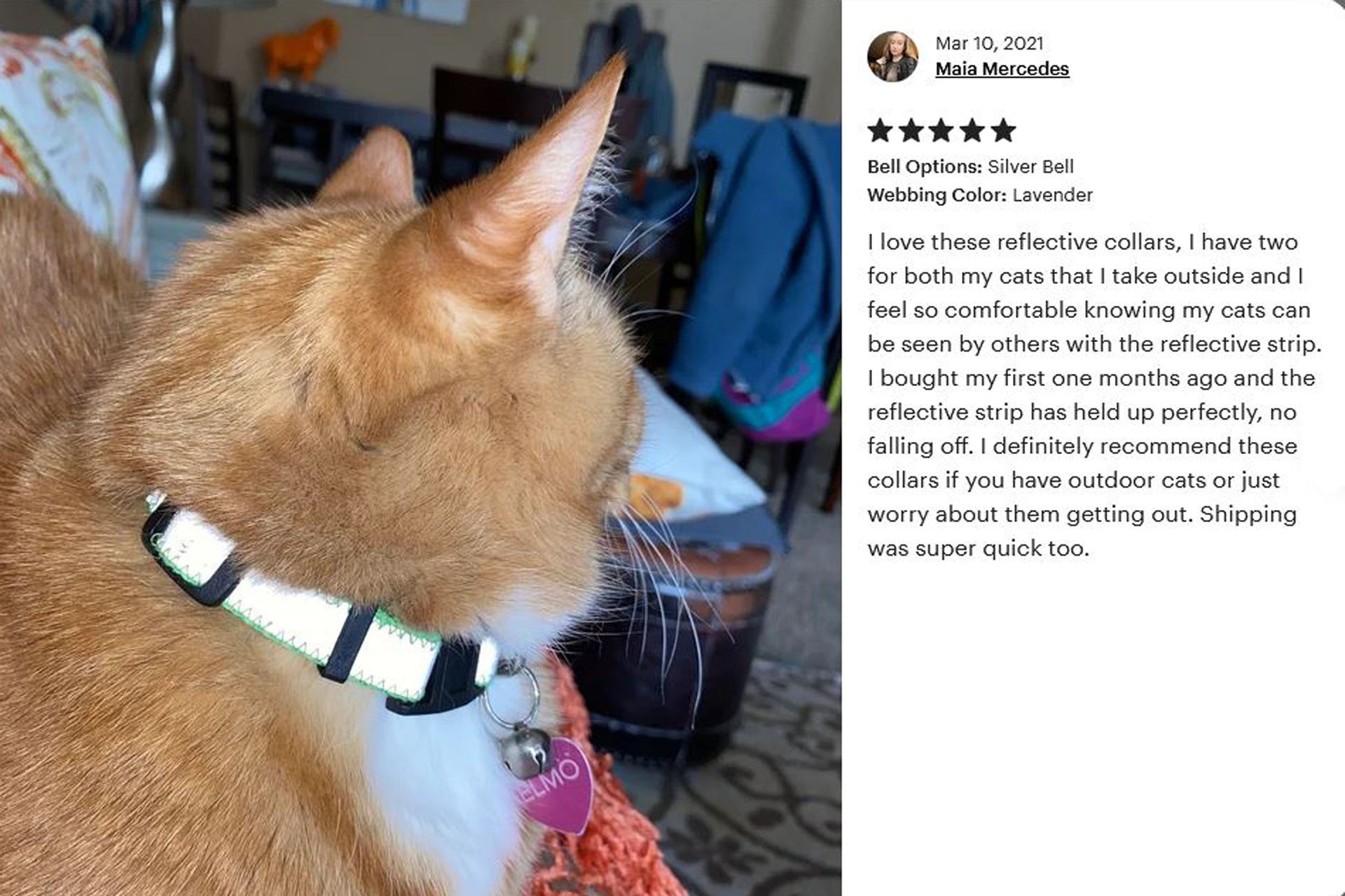 Reflective 5/8" Extra Wide Breakaway Cat Collar - Fox Valley Pet Wear