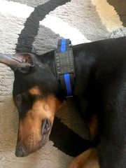 Thin Blue Line Dog Collar - flat buckle, martingale, breakaway - Fox Valley Dog Collars