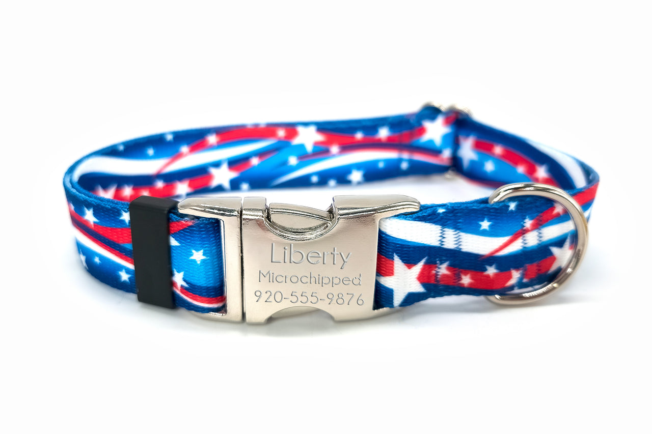Americana | Flat Side Release Collar | Large 14"-23" in 1" wide