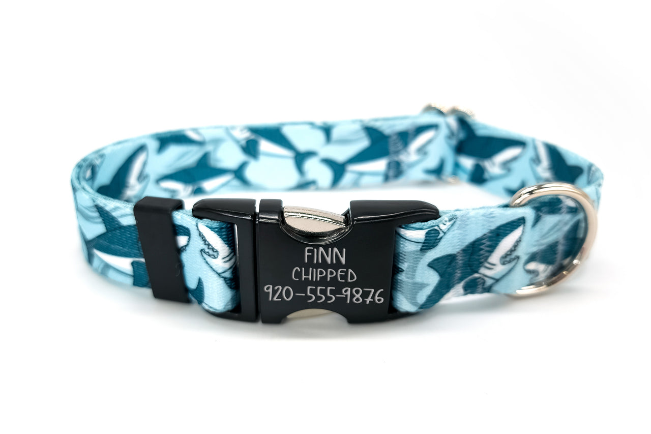 Blue Sharks | Flat Side Release Collar | Large 14"-23" in 1" wide