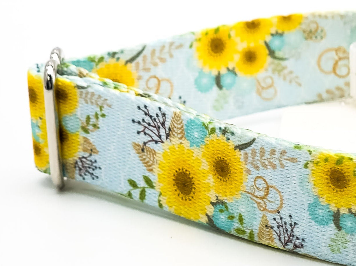 Sunny Days | Flat Side Release Collar | Large 14"-23" in 1" wide