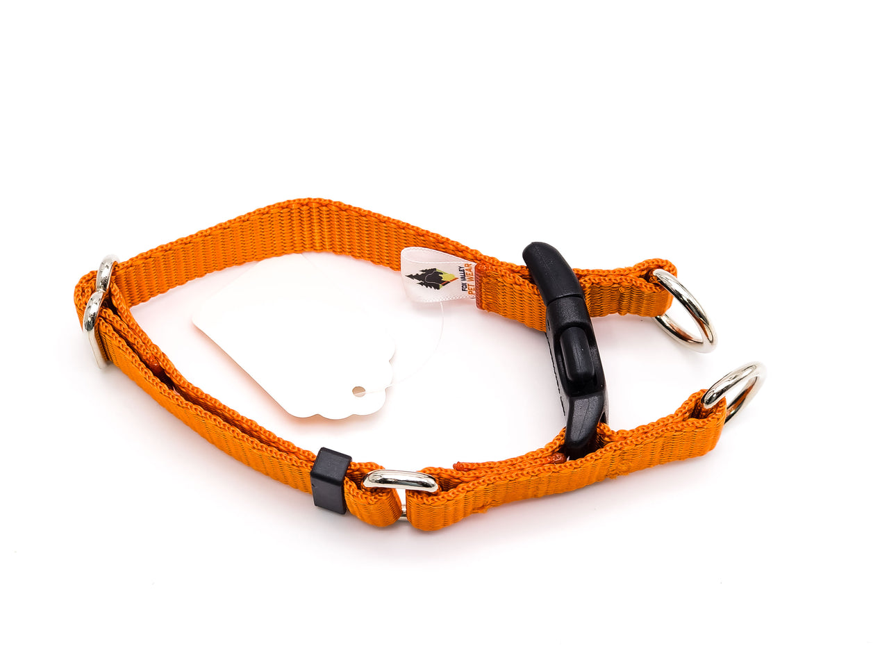 Pumpkin Orange | Double-D-ring Side Release Collar | Small 9"-13" in 3/4" wide