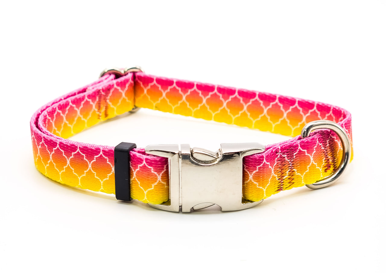 Fruity Ombre | Flat Side Release Collar | Medium 11"-17" in 5/8" wide