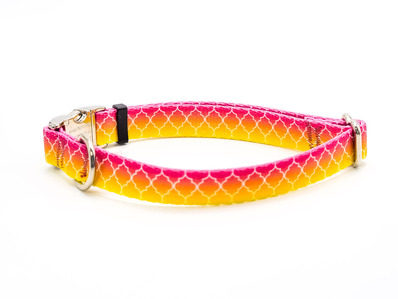 Fruity Ombre | Flat Side Release Collar | Medium 11"-17" in 5/8" wide