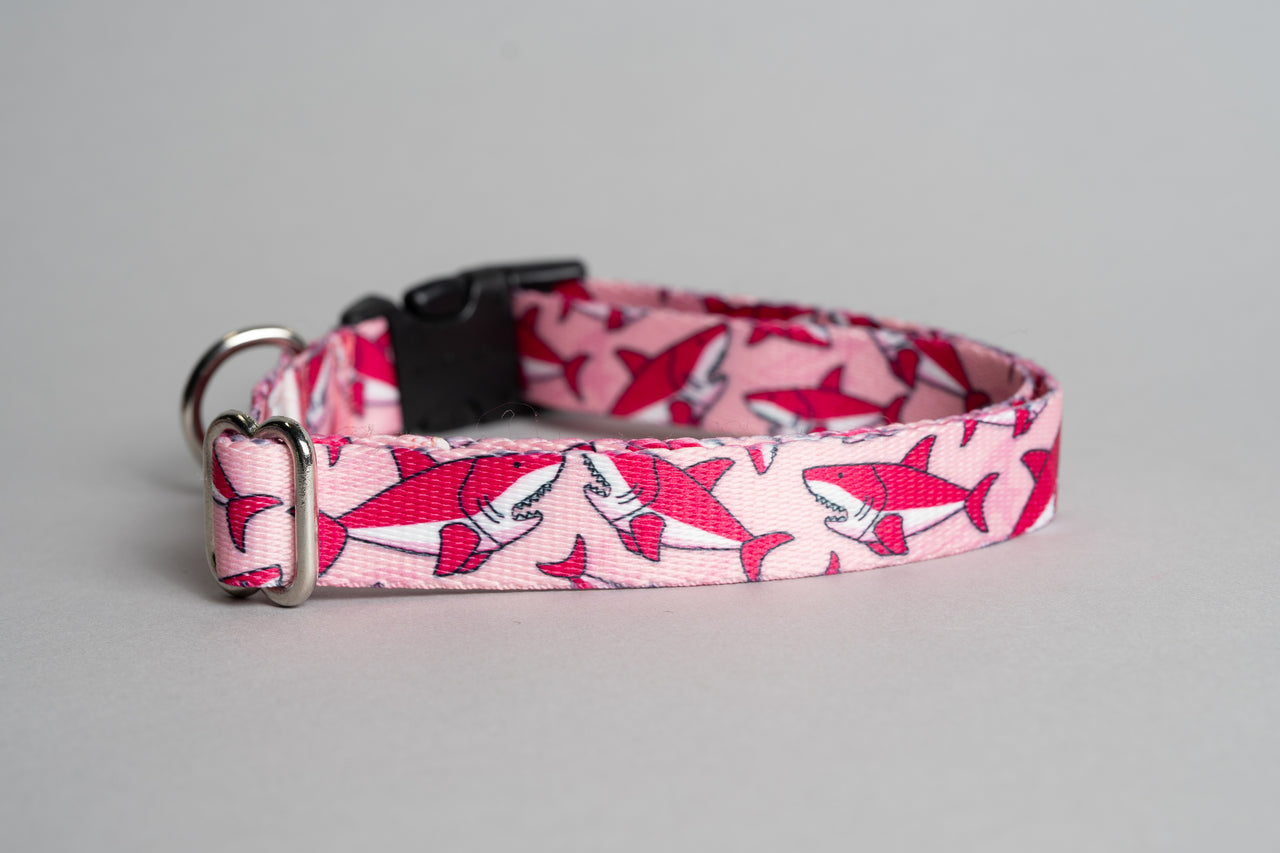 Pink Sharks | Flat Side Release Collar | Large 14"-24" in 3/4" wide