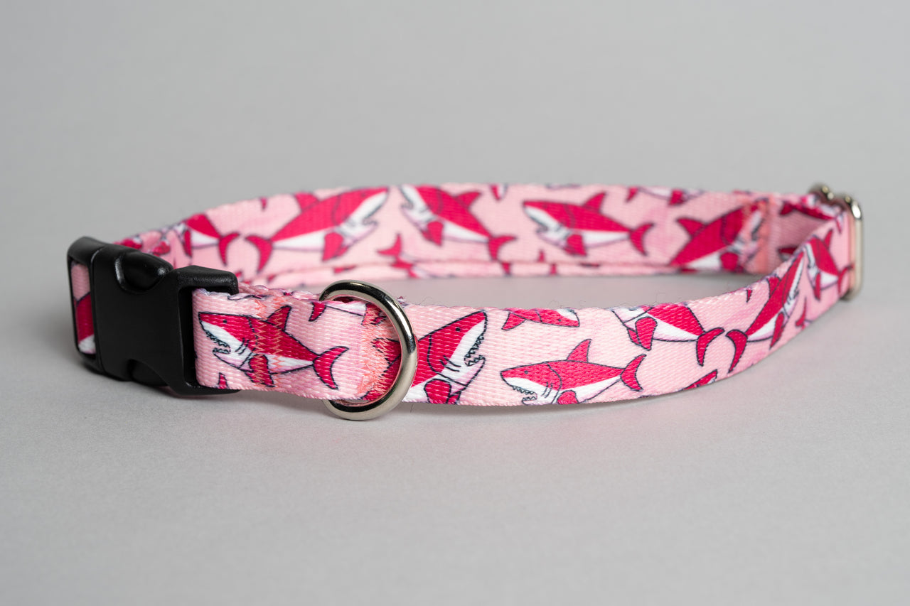 Pink Sharks | Flat Side Release Collar | Large 14"-24" in 3/4" wide