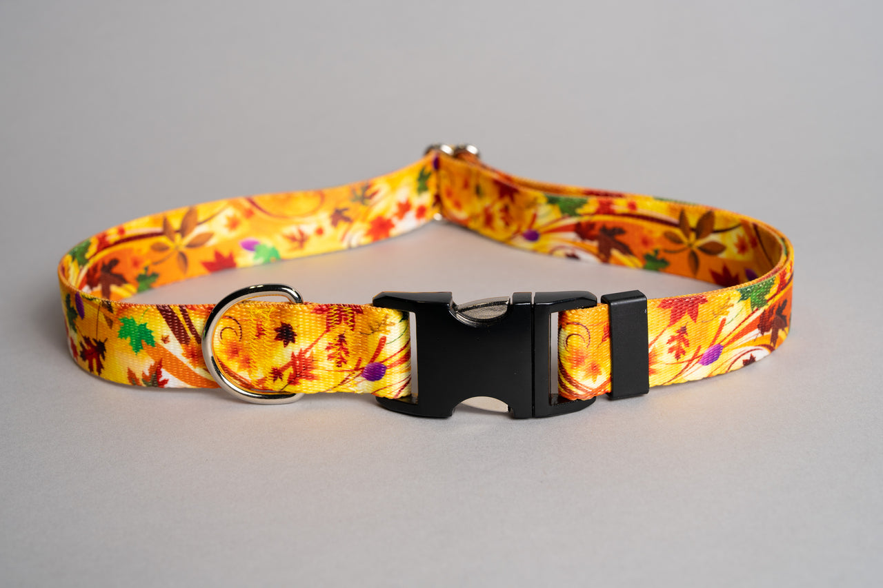 Autumn Wind | Flat Side Release Collar | extra large 19"-31" in 1" wide