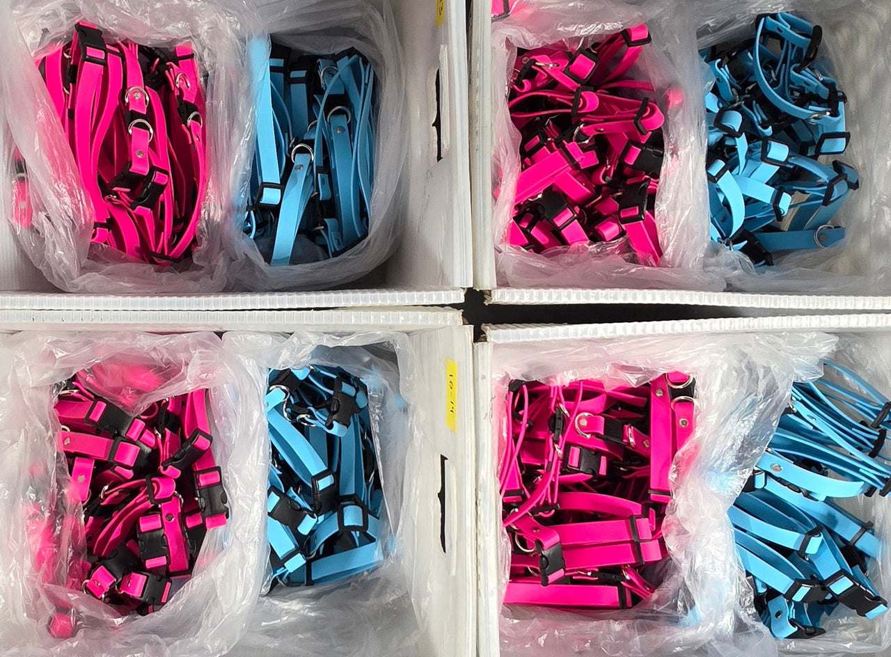 Breakaway Collar BUNDLE Pack | Daycare | Pet Resort | Boarding Facility