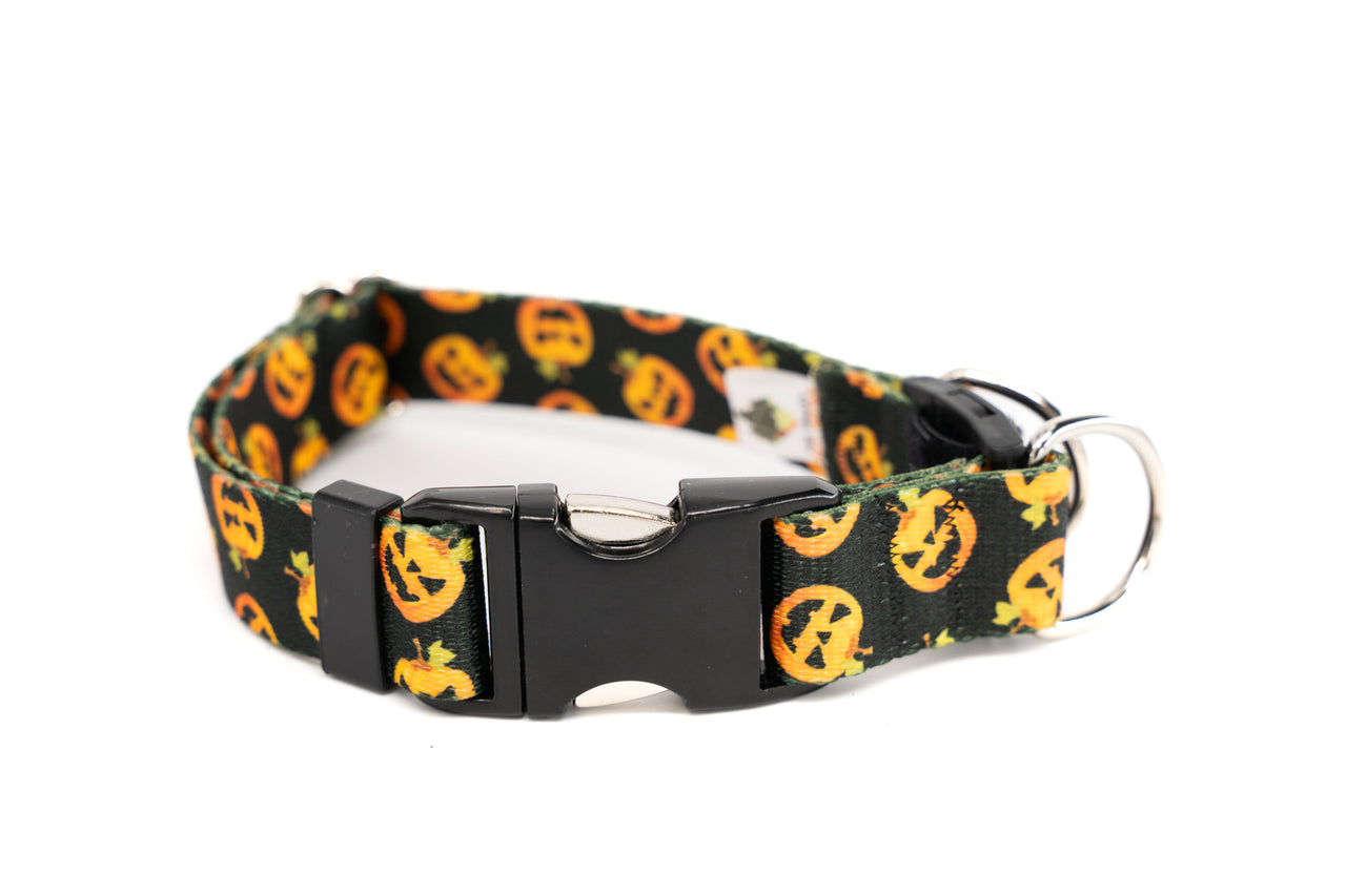 BREAKAWAY Personalized "Happy Jack" Patterned Collar | Limited Edition