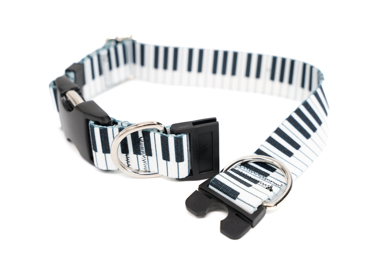 Dog collar with black and white striped piano keys pattern on a white background