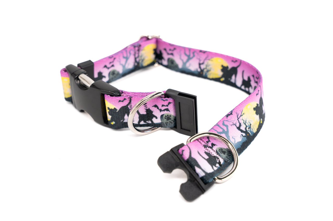 Dog collar with a colorful whimsical pets-in-a-graveyard pattern on a white background